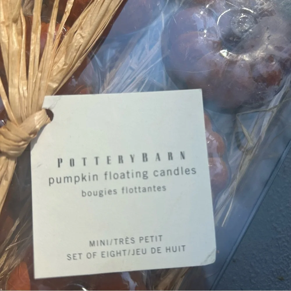New Pottery Barn Burnt Orange Pumpkin  Floating Candles Fall Autumn Thanksgiving